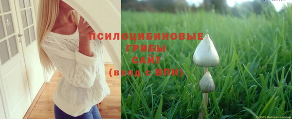 первитин Арсеньев