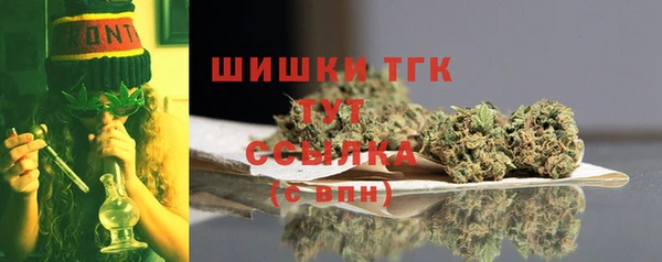 первитин Арсеньев