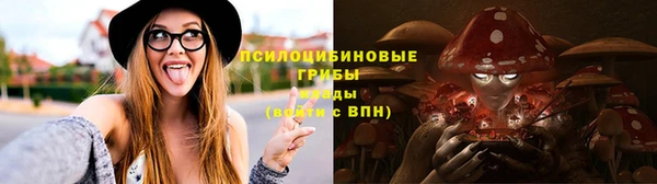 альфа пвп Армянск