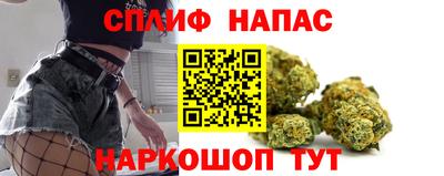 СК Моздок