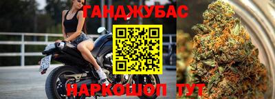 СК Моздок