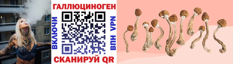 наркошоп  Урай  Псилоцибиновые грибы MAGIC MUSHROOMS 