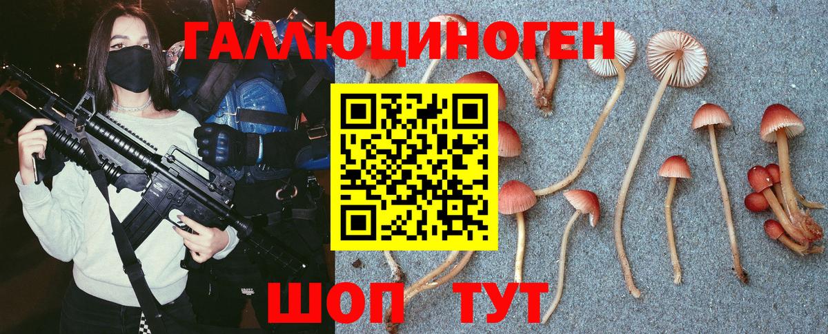 Псилоцибиновые грибы GOLDEN TEACHER  Вход с VPN  Урай  Псилоцибиновые грибы Magic Shrooms 